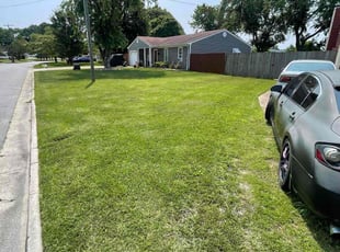 Anh S.'s turf maintenance service result