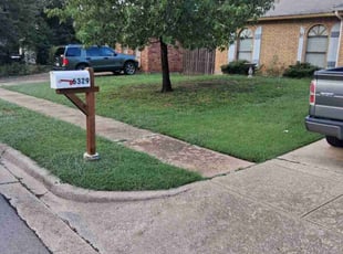 Anel F.'s lawn care service result