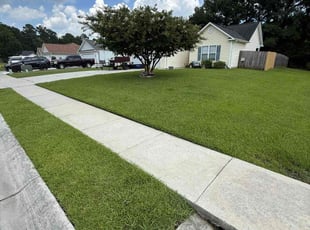 Stephanie V.'s lawn care service result