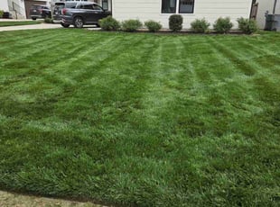 Janet W.'s lawn care services service result