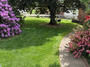 Daeja M.'s lawn service service result