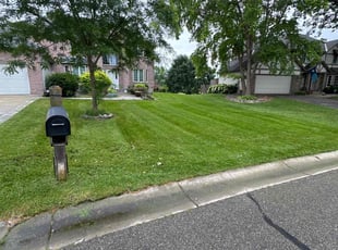Christy O.'s lawn service service result