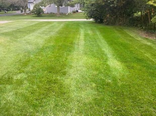 Carl G.'s residential landscaping service result