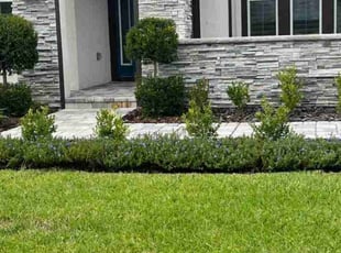 Richard C.'s lawn service service result