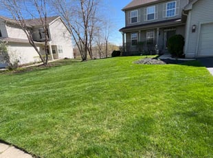 Ryan M.'s grass maintenance service result