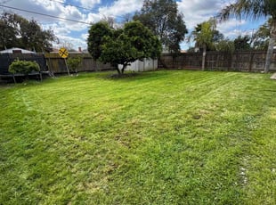 Frances V.'s turf maintenance service result