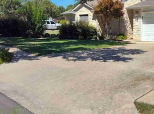 Nicky N.'s turf care service result