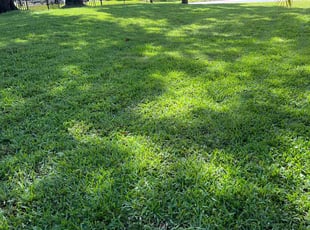 Ron W.'s lawn care services service result