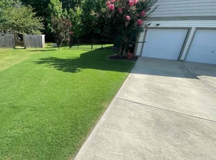 Nasir O.'s grass cutting service result