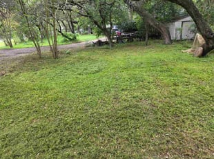Madeleine M.'s lawn care service result