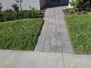 Alex R.'s grass cutting service result