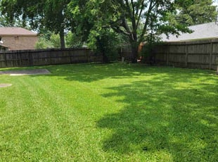 Sheana D.'s lawn service service result