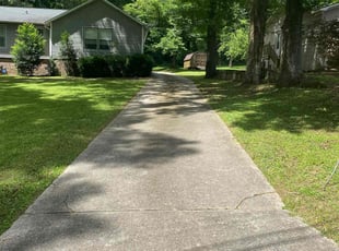 Anthony C.'s grass cutting service result