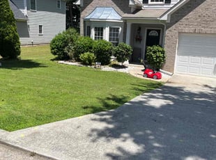 Cathy M.'s lawn care services service result