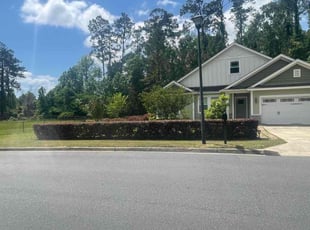 Tracy T.'s Bush Trimming service result