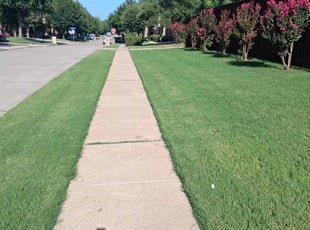 Mary C.'s lawn care services service result