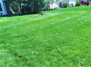 Natami P.'s lawn maintenance service result