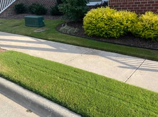 Adam S.'s lawn care service result