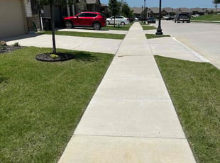 Rodena M.'s turf care service result