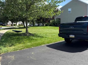 Sara B.'s lawn care services service result