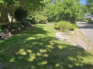 Ronald J.'s turf care service result