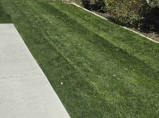 Maka F.'s lawn care services service result