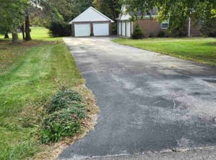 Theresa I.'s lawn care services service result