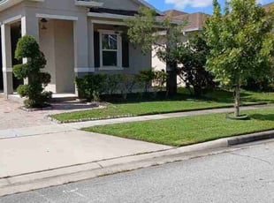 Edith L.'s turf maintenance service result