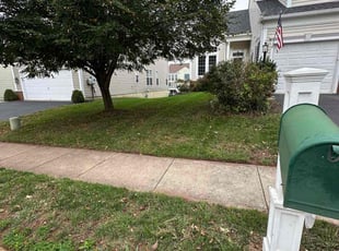 Radhika R.'s lawn care services service result