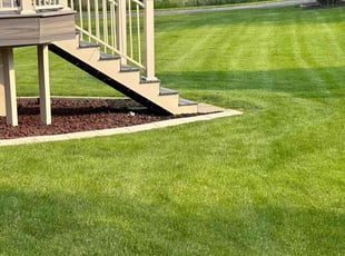 Dakota B.'s turf care service result