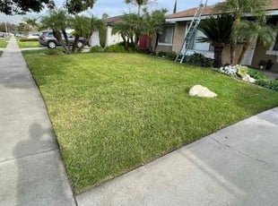 Trisha C.'s grass maintenance service result