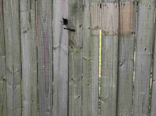 Latoya J.'s grass cutting service result