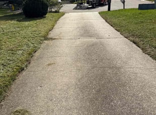 Harold B.'s lawn care services service result