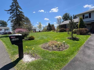 J Y.'s turf maintenance service result