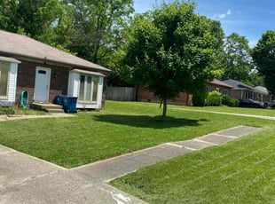 Harvey C.'s lawn care services service result