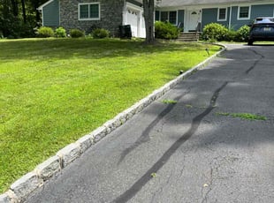 Audra W.'s lawn maintenance service result