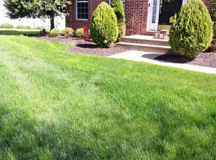 Matthew M.'s lawn maintenance service result