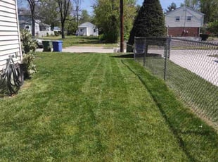 Kenneth G.'s grass maintenance service result