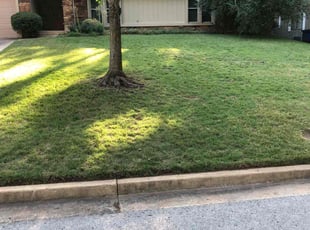 Brian T.'s turf care service result