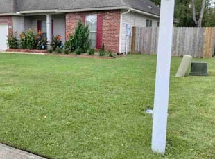 Catherine C.'s grass maintenance service result