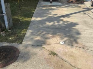 Julia N.'s lawn maintenance service result