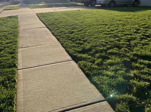 Todd V.'s Bush Trimming service result