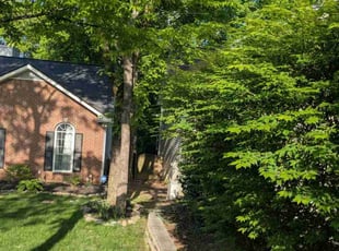 Earl S.'s lawn maintenance service result