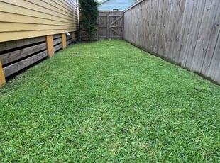 Terry N.'s lawn care services service result