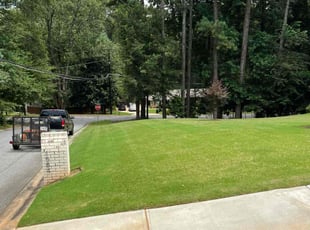 Regina N.'s turf maintenance service result