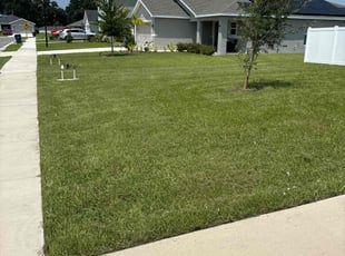 Kimberly S.'s turf care service result