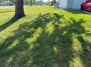 Ronnie G.'s lawn maintenance service result