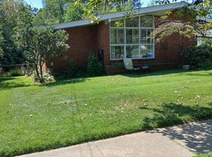 Michael B.'s turf maintenance service result