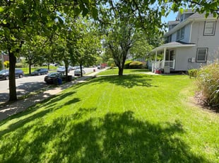 Andrew S.'s lawn care services service result