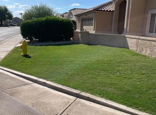 Jenn H.'s lawn care services service result